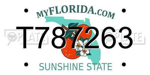 T787263 Florida License Plate