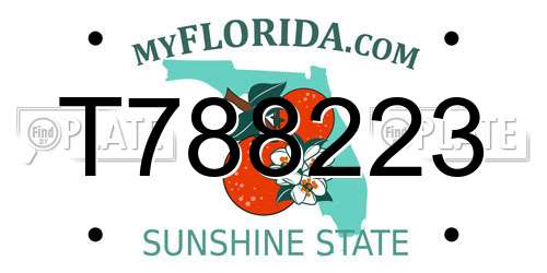 T788223 Florida License Plate