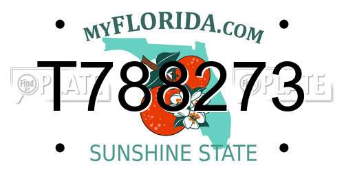 T788273 Florida License Plate