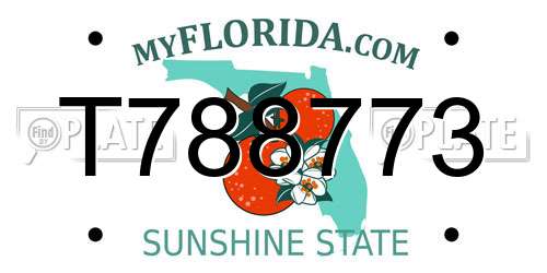 T788773 Florida License Plate