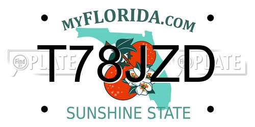 T78JZD Florida License Plate