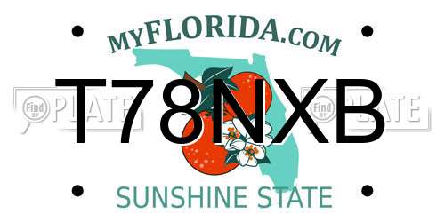 T78NXB Florida License Plate
