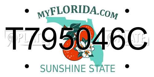 T795046C Florida License Plate