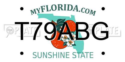 T79ABG Florida License Plate
