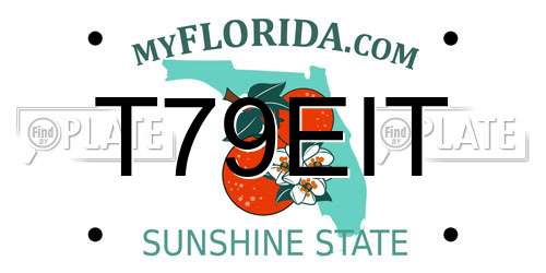 T79EIT Florida License Plate