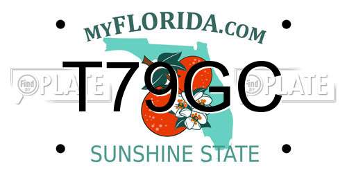 T79GC Florida License Plate