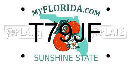 T79JF Florida License Plate