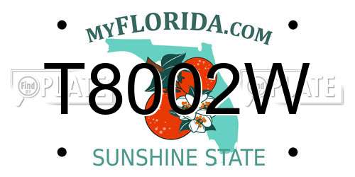 T8002W Florida License Plate