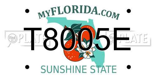 T8005E Florida License Plate