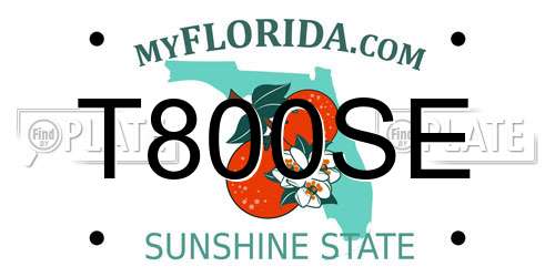 T800SE Florida License Plate