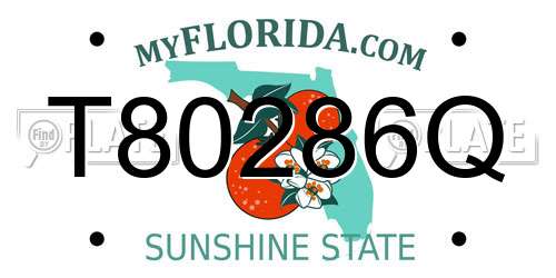 T80286Q Florida License Plate