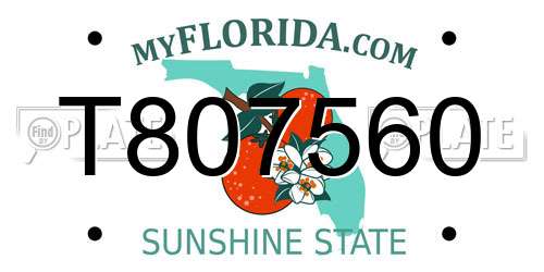T807560 Florida License Plate