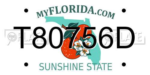 T80756D Florida License Plate