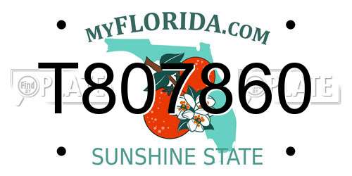 T807860 Florida License Plate