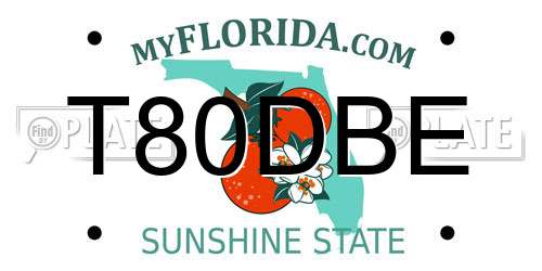 T80DBE Florida License Plate