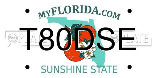 T80DSE Florida License Plate