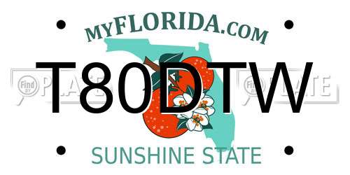 T80DTW Florida License Plate