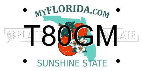 T80GM Florida License Plate