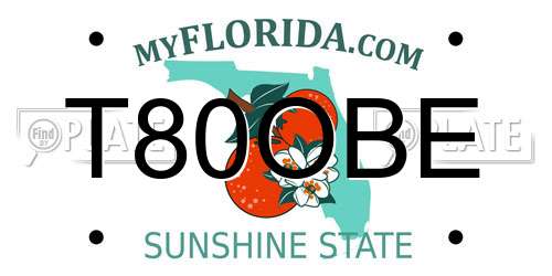 T80OBE Florida License Plate