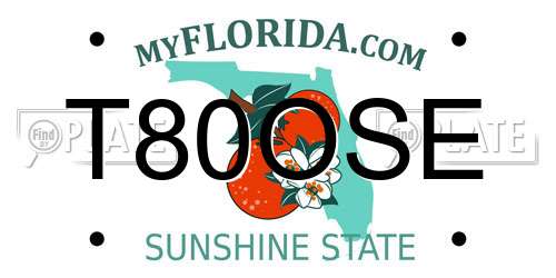 T80OSE Florida License Plate