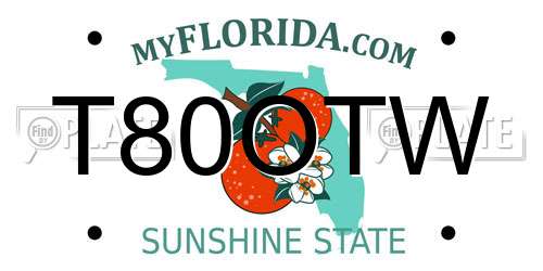 T80OTW Florida License Plate