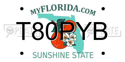 T80PYB Florida License Plate
