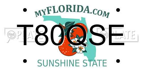 T80QSE Florida License Plate