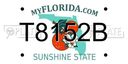 T8152B Florida License Plate