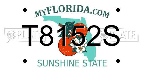 T8152S Florida License Plate