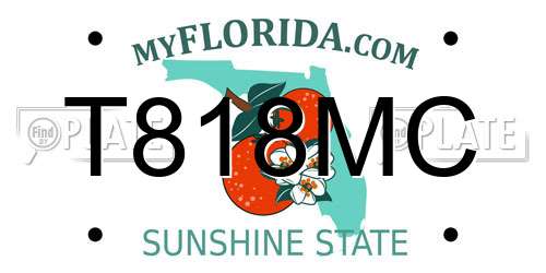 T818MC Florida License Plate