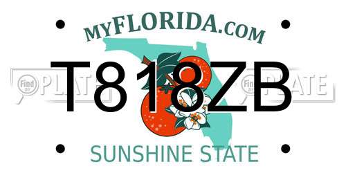 T818ZB Florida License Plate