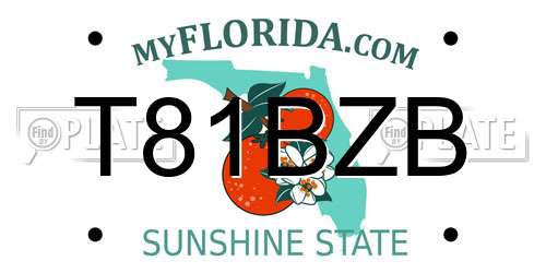 T81BZB Florida License Plate