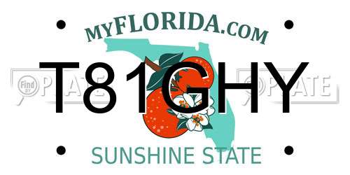 T81GHY Florida License Plate