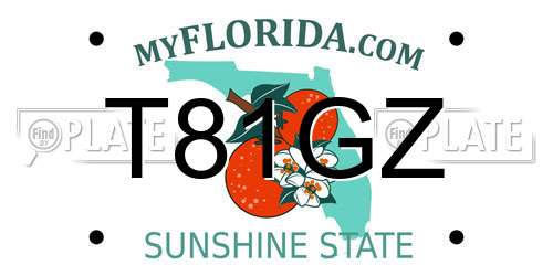 T81GZ Florida License Plate