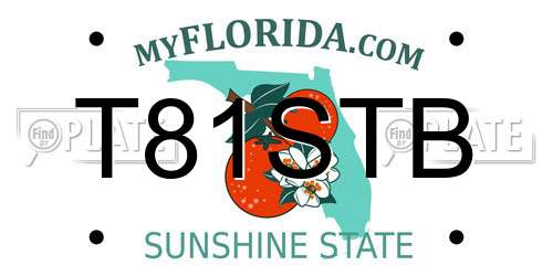 T81STB Florida License Plate