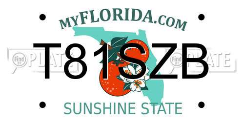 T81SZB Florida License Plate