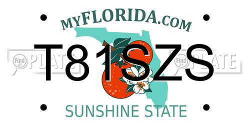 T81SZS Florida License Plate