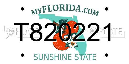 T820221 Florida License Plate