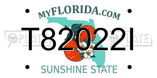 T82022I Florida License Plate