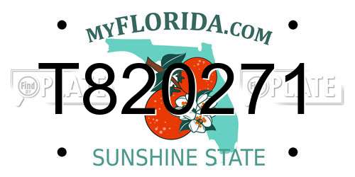 T820271 Florida License Plate