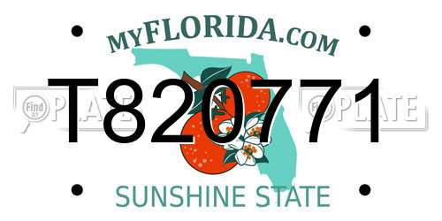 T820771 Florida License Plate