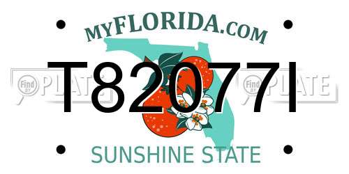 T82077I Florida License Plate