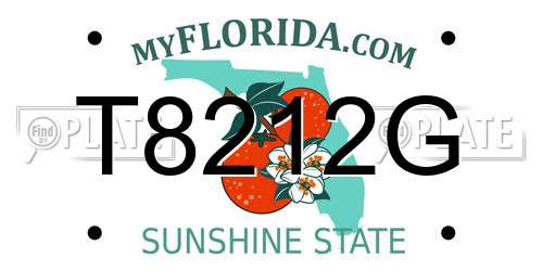 T8212G Florida License Plate