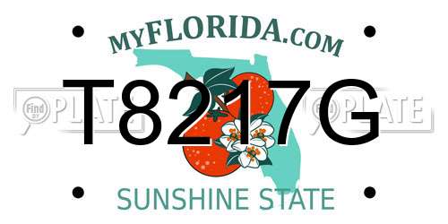 T8217G Florida License Plate