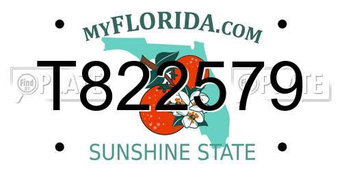 T822579 Florida License Plate