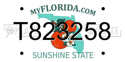T823258 Florida License Plate
