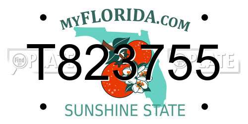 T823755 Florida License Plate