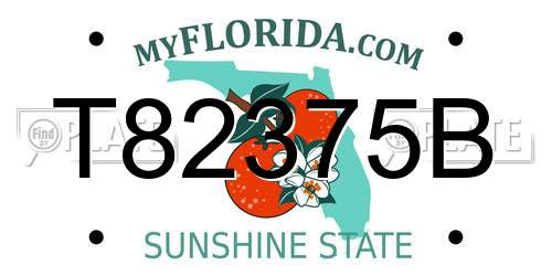 T82375B Florida License Plate