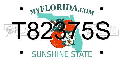 T82375S Florida License Plate