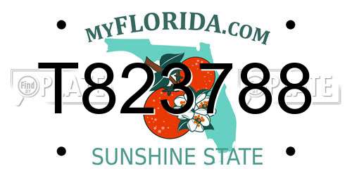 T823788 Florida License Plate